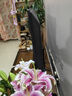 飛利浦（PHILIPS）55英寸游戲電視120Hz超薄護(hù)眼智慧屏杜比視界4+64G智能平板電視55PUF8399/T3二級(jí)能效國(guó)家補(bǔ)貼15% 曬單實(shí)拍圖