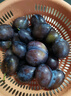 庾豐當季新鮮現摘脆紅李 新鮮水果整箱 孕婦脫骨青紅李子 團購送禮 5斤裝（凈果4.5斤）甄選果 顆顆甄選 產(chǎn)地直發(fā) 曬單實(shí)拍圖