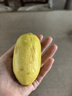 京覓 海南香水檸檬 5斤 單果60g+ 酸爽多汁水果青檸檬厚皮 源頭直發(fā) 曬單實(shí)拍圖