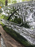 ATX隱形車(chē)衣全車(chē)身貼膜隱身車(chē)衣膜TPU材質(zhì)汽車(chē)漆面保護膜透明全車(chē)膜特斯拉su7問(wèn)界車(chē)衣  曬單實(shí)拍圖