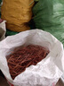 子璽（ZIXI）全自動(dòng)剝線(xiàn)機廢銅線(xiàn)家用扒皮機小型電動(dòng)電纜線(xiàn)去皮機剝皮機拔線(xiàn)機 特惠款單刀(不帶電機) 送配件質(zhì) 曬單實(shí)拍圖