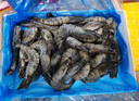 1號(hào)會(huì)員店 泰國(guó)活凍黑虎蝦 斑節(jié)對(duì)蝦 海鮮水產(chǎn) 凈重2斤（31-40只） 曬單實(shí)拍圖