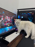 華碩ROG創(chuàng  )世神全家桶9800X3D 9950X3D/RTX5080主機5070Ti臺式電腦游戲直播設計Ai視頻剪輯渲染組裝整機 配置3：R7 9800X3D+TUF5070TI 曬單實(shí)拍圖