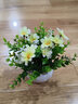 樹顏假花擺件塑料花含花瓶干花花束仿真植物盆景絹花客廳陽臺餐桌裝飾 1號米蘭+花+白瓷盆 曬單實拍圖