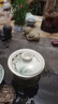 愛(ài)果樂(lè )（IGROW）學(xué)習椅青少年中學(xué)生人體工學(xué)椅寫(xiě)字升降辦公書(shū)桌電腦椅子 曬單實(shí)拍圖