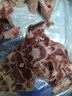 月盛齋羔羊羊蝎子1kg 曬單實(shí)拍圖