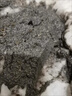 揚(yáng)星水泥溶解劑下水道廁所管道堵塞疏通裝修混凝土沙子石灰強(qiáng)力分解 超滲透水泥分解王【3斤+工具】 曬單實(shí)拍圖