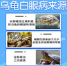 普欣諾寵物烏龜白眼病專(zhuān)用眼藥水白眼清烏龜眼白睜不開(kāi)眼專(zhuān)用噴劑 1瓶 烏龜洗眼液 曬單實(shí)拍圖