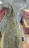 黃小漁寧德三去黃花魚800g/條 大黃魚生鮮 魚類海魚 海鮮水產(chǎn) 曬單實拍圖
