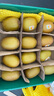 佳沛（zespri）綠奇異果 優(yōu)選大果12粒單果約113-135g  水果禮盒 獼猴桃 曬單實拍圖