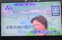 音創(chuàng  )H81Max 高端智能語(yǔ)音點(diǎn)歌機家庭k歌 卡拉ok點(diǎn)歌機 家庭ktv點(diǎn)歌機 家用點(diǎn)歌機分體機 19.5吋4T 曬單實(shí)拍圖