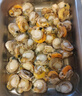 鮮享純【精選】新鮮青島大扇貝肉鮮活非即食超大夏夷貝帶黃無(wú)沙鮮活冷凍 新鮮現(xiàn)剝扇貝肉3斤(凈重) 曬單實(shí)拍圖