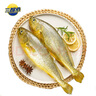三都港 鮮凍原條黃花魚凈重2斤/2條 寧德大黃魚 海魚 生鮮 燒烤 曬單實拍圖