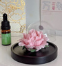 Para Ella永生花陶瓷牡丹生日禮物女生伴手禮實(shí)用母親教師節送老師高檔精致 曬單實(shí)拍圖