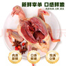 BOZAIJIA林間放養乳鴿 凈重1.2斤共2只 農家新鮮現殺土鴿子鴿肉源頭直發(fā) 曬單實(shí)拍圖