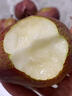 南步陜西彩虹梨 香梨彩紅梨大果薄皮梨子早酥蜜梨七彩紅啤梨新鮮水果 3斤 精選大果【單果約150g+】 曬單實(shí)拍圖