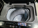 美的（Midea）波輪洗衣機全自動(dòng)家用 MB55V36E 5.5公斤 宿舍租房 迷你洗衣機小型 隨心洗 以舊換新 家電國家補貼 曬單實(shí)拍圖