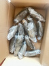 2025年湖北頭茬洪湖蓮藕新鮮脆藕 涼拌清炒新鮮蔬菜 5斤小脆藕 曬單實(shí)拍圖