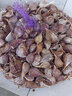囧仙子山東大蒜頭籽干蒜紫皮祘頭紅根寒蒜批發(fā)蒜種子農(nóng)家川蒜苔蒜苗 3斤紫皮小蒜瓣（中小瓣） 曬單實(shí)拍圖