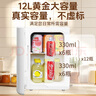 澳柯瑪車(chē)載冰箱小型迷你冰箱車(chē)家兩用母乳藥材存放宿舍出租房辦公室用 曬單實(shí)拍圖