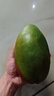 京鮮生 攀枝花凱特芒 凈重8.5斤 帶箱9斤 單果600g+ 生鮮水果 源頭直發(fā) 曬單實(shí)拍圖