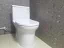 箭牌（ARROW）衛(wèi)浴靜音緩降馬桶小戶型坐便器節(jié)水家用噴射虹吸抗菌防臭馬桶T32 工學(xué)座圈12609 305坑距 曬單實(shí)拍圖