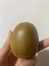 淳果一木 黃心獼猴桃 黃金奇異果金果獼猴桃 新鮮水果 生鮮 水果 10個大果單果90-110克 曬單實拍圖
