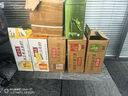 元氣森林元氣自在水 好自在 金銀花雪梨水 植物飲料 500mL*15瓶裝 曬單實(shí)拍圖