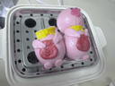 小熊（Bear）電蒸鍋 煮蛋器 小型蒸蛋器2-3人用  自動(dòng)斷電 智能預約定時(shí) 煮雞蛋神器早餐一體機ZDQ-D06T1 曬單實(shí)拍圖
