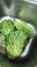 云南鮮生菜約400g 曬單實(shí)拍圖