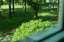 松下S5M2（20-60mm F3.5-5.6）（Panasonic）S5二代 全畫幅微單相機(jī) 約2420萬(wàn)有效像素 新相位混合對(duì)焦 曬單實(shí)拍圖