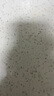 金鑼火腿腸 肉粒多黑豬肉香腸共320g 8支/盒 速食休閑零食露營燒烤款 曬單實(shí)拍圖