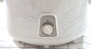 天際（TONZE） 天際電燉鍋陶瓷內(nèi)膽電燉盅煮粥煲粥鍋燉湯鍋電砂鍋1-2-3-4-5用家用智能10N 【適合2~3人】 2L 曬單實(shí)拍圖