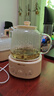 小熊（Bear）全玻璃養(yǎng)生壺 養(yǎng)生杯 辦公室多功能圍爐煮茶花茶壺0金屬全玻璃壺體恒溫壺水壺電熱燒水壺 YSH-P10Q7【全玻璃壺體】 1L 無濾網(wǎng) 曬單實拍圖