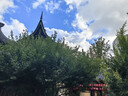 佳能（Canon）R50微單相機(jī) 4K數(shù)碼照相機(jī)旅行家用 入門級(jí)攝影機(jī)Vlog視頻直播拍攝學(xué)生美顏相機(jī)套餐送支架補(bǔ)光燈 R50白色RF-18-45套機(jī)【六期免息】 官方標(biāo)配 曬單實(shí)拍圖