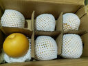 京鮮生山東煙臺萊陽(yáng)秋月梨凈重3斤單果250g+ 新鮮水果 源頭直發(fā)包郵 曬單實(shí)拍圖