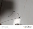 黑針伊勢尼進(jìn)口魚(yú)鉤散裝伊豆倒刺正品鯽魚(yú)鯉魚(yú)釣魚(yú)高碳鋼鉤子魚(yú)鉤 500枚3-12各50枚 精品盒裝伊勢尼 曬單實(shí)拍圖