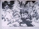 彩色連環(huán)畫(huà)大書(shū) 林海雪原 曬單實(shí)拍圖