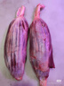 順豐牛腱子整切5斤鎖鮮內蒙古黃牛肉腱子肉金錢(qián)腱散養牛冷凍商用 正宗牛腱子5斤 曬單實(shí)拍圖