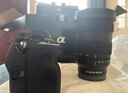 索尼（SONY）ILCE-7m4/A7M4專業(yè)全畫幅微單相機(jī)約3300萬有效像素4K視頻直播錄制 打鳥相機(jī) 索尼a7m4【國家補(bǔ)貼】 單機(jī)標(biāo)配 曬單實拍圖