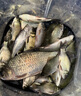民間藝人咬鉤變色夜光漂夜釣鯽鯉魚高靈敏魚漂重力感應(yīng)電子漂臺釣醒目浮漂 曬單實(shí)拍圖
