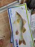 仙泉湖冷凍三去白蕉海鱸魚700g/袋 生鮮水產(chǎn)食材(350g*2條)  曬單實(shí)拍圖