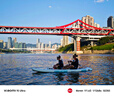 MSEASFREE炫彩沖浪槳板劃水板路亞釣魚瑜伽SUP 升級炫彩灰  曬單實拍圖