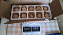 谷物鮮雞蛋 農戶(hù)散養新鮮雞蛋 單枚50g±5 10枚（50克/枚） 曬單實(shí)拍圖