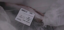 鮮活沖浪河鱸魚400-500g/條 曬單實拍圖