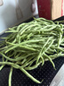 新鮮現摘四季豆角農家蔬菜九月青油豆角整箱蔬菜生鮮源頭直發(fā) 云南四季豆新鮮現摘【帶箱2斤】 曬單實(shí)拍圖