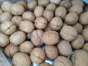 新邊界（new boundaries）薄皮核桃1500g 新疆特產(chǎn)阿克蘇核桃堅(jiān)果炒貨手剝原味量販 曬單實(shí)拍圖