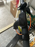 九號（Ninebot）電動(dòng)滑板車成年人便攜代步折疊E2Pro智能電動(dòng)車學(xué)生10英寸大輪胎防滑真續(xù)航 曬單實(shí)拍圖