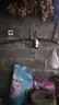 米萊德增壓泵家用全自動(dòng)熱水器自來(lái)水加壓泵太陽(yáng)能壓力泵智能花灑水泵 曬單實(shí)拍圖