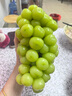 佐丹力159方便雜糧粥4盒裝營(yíng)養代餐粉高蛋白高纖即食谷物粉早晚餐輕食 曬單實(shí)拍圖